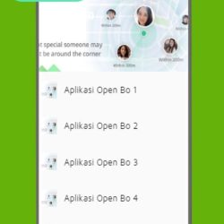 aplikasi open bo apk