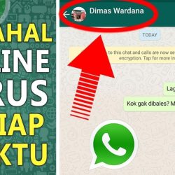 cara agar whatsapp tidak terlihat online tidak terlihat sedang mengetik dijamin berhasil