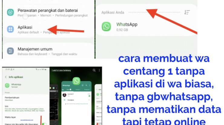 cara membuat wa centang di wa biasa dan tanpa aplikasi