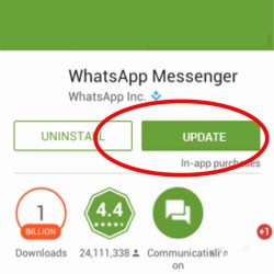 cara memperbarui whatsapp yang mungkin belum kamu ketahui lemoot