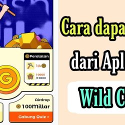 cara mendapatkan uang di aplikasi wild cash apakah wild cash