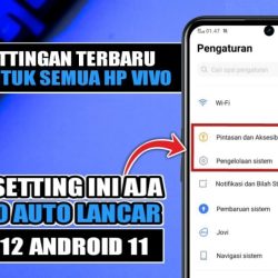 cara mengatasi lag dan lemot di vivo y setelah update android