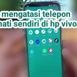 cara mengatasi telepon wa mati sendiri di hp vivo youtube