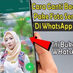 cara terbaru mengganti background di whatsapp resmi pake foto