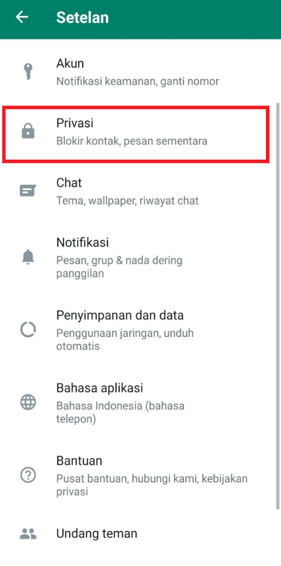 Cara WA Terlihat Offline Padahal Online Terbaru