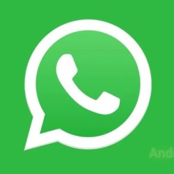 download whatsapp v 1 apk features multi device support 0