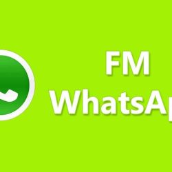 fmwhatsapp mod apk download versi terbaru minglebox com 2