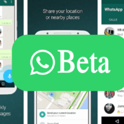 keunggulan whatsapp beta fitur terbaru cara download dan