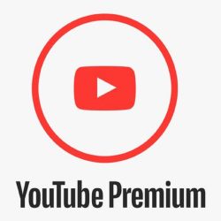 manfaat youtube premium bisa download video dan nonton tanpa iklan