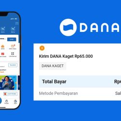 tidak bisa login cara mengatasi aplikasi dana error artikel blog