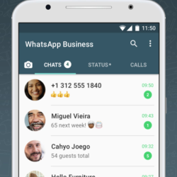 whatsapp business apk untuk android unduh