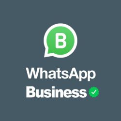 whatsapp business itu apa sih puskomedia indonesia